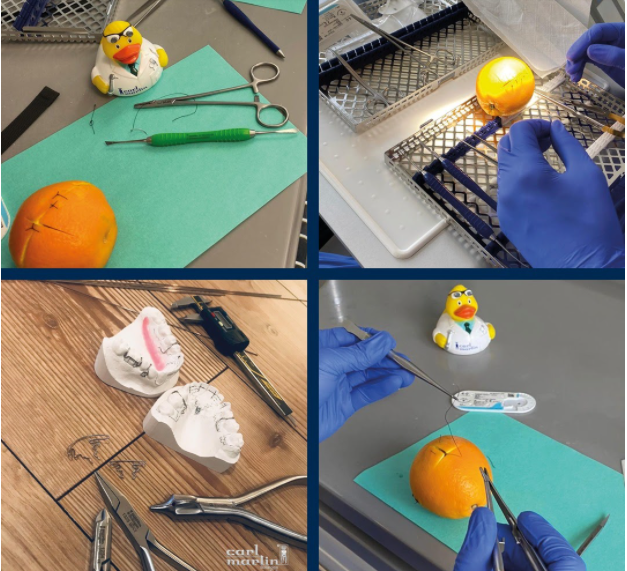 dụng cụ nhổ răng Carl Martin