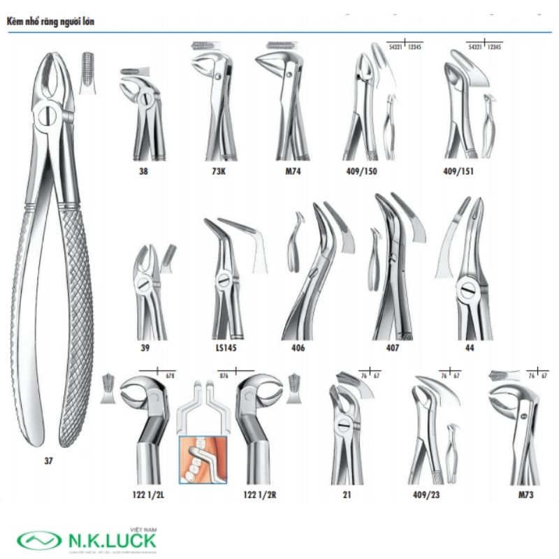 Các sản phẩm dụng cụ nhổ răng của Carl Martin.