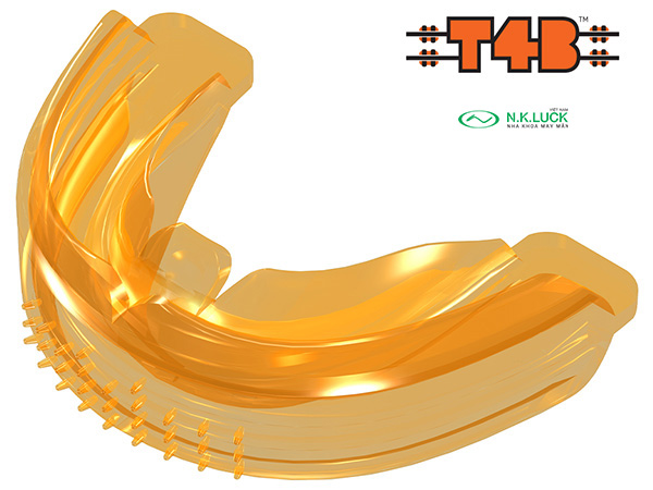 khí cụ T4B